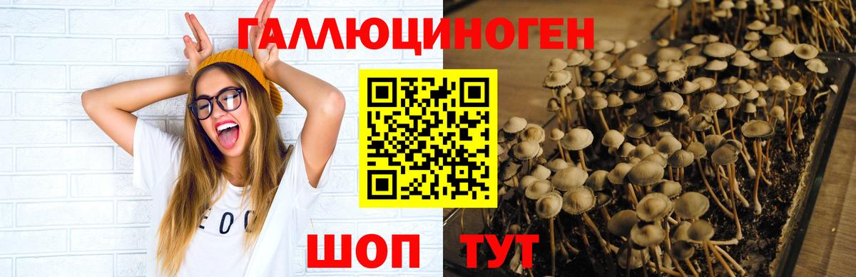 Рославль  Псилоцибиновые грибы мицелий  Вход с VPN 