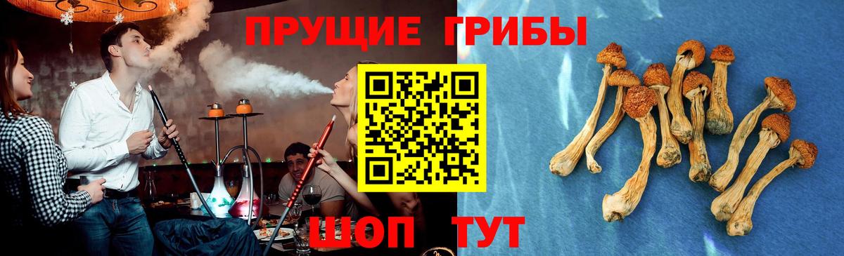Псилоцибиновые грибы MAGIC MUSHROOMS Рославль